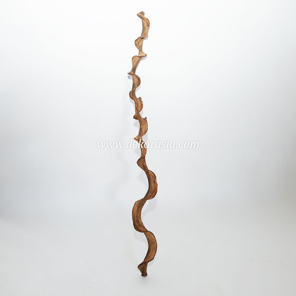Kasela Vines Wood Natural, Java Wood for Cage, Home Decoration